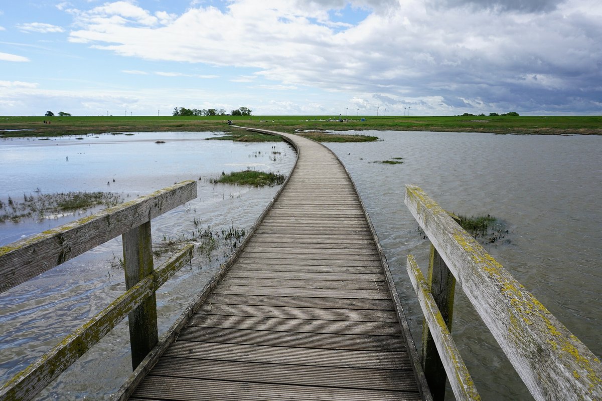 Ein Holzbolensteg über einer flachen Wasserfläche. Im Hintergrund Grasland. Der Himmel ist blau mit einigen imposanten Wolken.